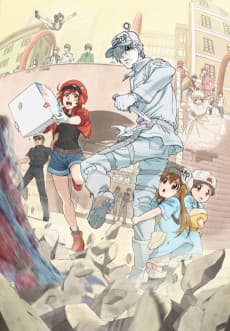 Cells at Work! artwork