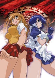Battle Vixens: Ikki Tousen artwork