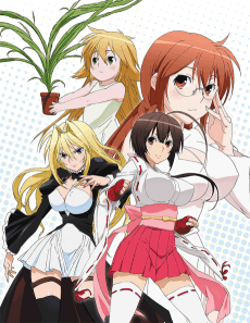 Sekirei artwork