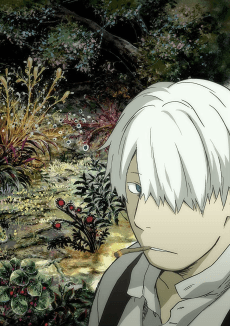 MUSHI-SHI artwork
